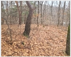  2024Ÿ505896 õ ȭ  ȭ 394-2      (Ӿ)