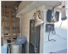  2024Ÿ��564895  ���ð��