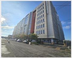  2024Ÿ��566167  ����Ʈ��������