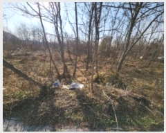  2024Ÿ573912 õ ߱ ϵ 1357-15       ()