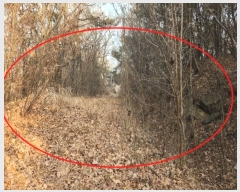  2024Ÿ580453 õ ȭ ȭ ȭ 340-2      (Ӿ)