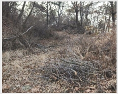  2024Ÿ580453 õ ȭ ȭ ȭ 340-2      (Ӿ)