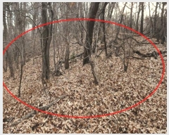  2024Ÿ580453 õ ȭ ȭ ȭ 340-2      (Ӿ)