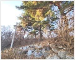  2024Ÿ580453 õ ȭ ȭ ȭ 340-2      (Ӿ)