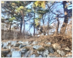  2024Ÿ580453 õ ȭ ȭ ȭ 340-2      (Ӿ)