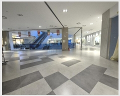  2024Ÿ��581210  �ٸ��󰡰��