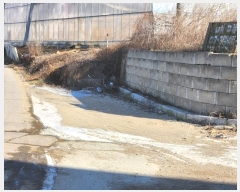  2024Ÿ501665 õ    1153-35      (Ӿ)