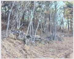  2024Ÿ501665 õ    1153-35      (Ӿ)