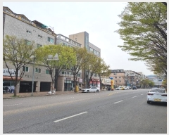  2024Ÿ516988 õ   219,  4401ȣ (˾ϵ,׽Ʈ)    ټ,