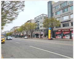  2024Ÿ516988 õ   219,  4401ȣ (˾ϵ,׽Ʈ)    ټ,