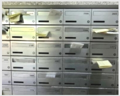  2024Ÿ522709 õ Ȧ η 306, 242407ȣ (ȭ,÷)     Ʈ