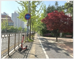  2024Ÿ��524965  ����Ʈ���