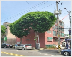  2024Ÿ532355 õ  · 7,  3302ȣ (,긶)    ټ,