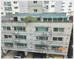  2024Ÿ541250 õ  365 9-4, 5502ȣ (,ÿ¾Ʈ)     Ʈ