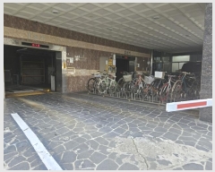  2024Ÿ��556139  ���ǽ��ڰ��