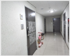  2024Ÿ��571374  ���ǽ��ڰ��