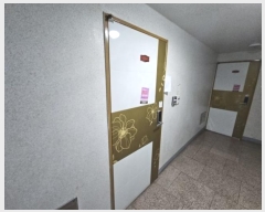  2024Ÿ572360 õ  24 49, 3305ȣ (,2)     Ʈ