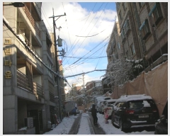  2024Ÿ��575451  �ټ���(����)���