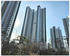  2024Ÿ��577679  ����Ʈ���