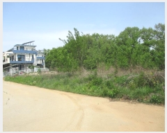  2024Ÿ��4256  �����