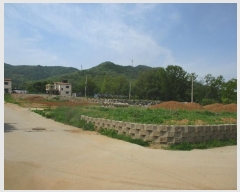  2024Ÿ��4256  �����