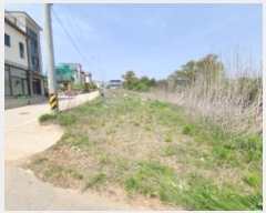  2024Ÿ��4256  �����