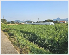  2024Ÿ��8609 ��õ ��ȭ�� ���ظ� ������ 275-3      ����(��1)���