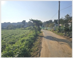  2024Ÿ��8609 ��õ ��ȭ�� ���ظ� ������ 275-2      ����(����)���