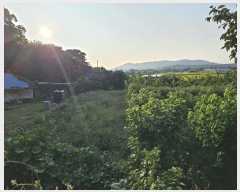  2024Ÿ��8609 ��õ ��ȭ�� ���ظ� ������ 275-2      ����(����)���