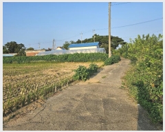  2024Ÿ��8609 ��õ ��ȭ�� ���ظ� ������ 275-2      ����(����)���