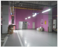  2024Ÿ14437 õ  ۵̷ 30, ̵ 131303ȣ (۵,۵˾Ʈ븮Ļ)    Ʈ