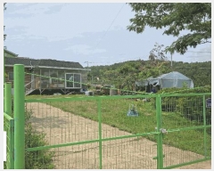  2024Ÿ508512 õ   ܸ 858-17      ð