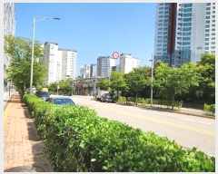  2024Ÿ531123 õ  ũŻ74 17, 101017ȣ (û,ũŻ2)     ǽڰ