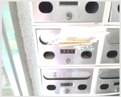  2024Ÿ540561 õ 籸 ⱳ11 5-1, 1 3301ȣ (굿,ƼϿ콺)    ټ,