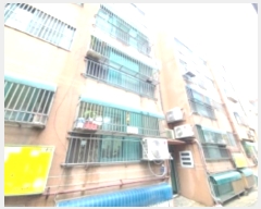  2024Ÿ540561 õ 籸 ⱳ11 5-1, 1 3301ȣ (굿,ƼϿ콺)    ټ,