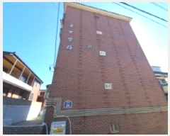  2024Ÿ554362 õ 籸  24, 2ȣ (굿,)     ټ,