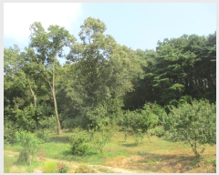  2024Ÿ561728 õ ȭ 絵 λ긮 43-1      (Ӿ)