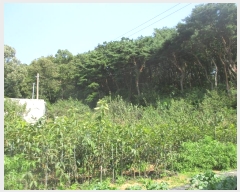  2024Ÿ561728 õ ȭ 絵 λ긮 43-1      (Ӿ)