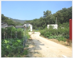  2024Ÿ561728 õ ȭ 絵 λ긮 43-1      (Ӿ)