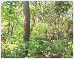  2024Ÿ561728 õ ȭ 絵 λ긮 43-1      (Ӿ)