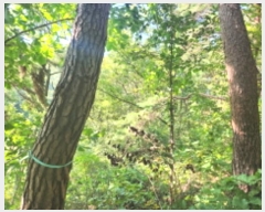  2024Ÿ561728 õ ȭ 絵 λ긮 43-1      (Ӿ)