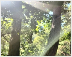  2024Ÿ561728 õ ȭ 絵 λ긮 43-1      (Ӿ)