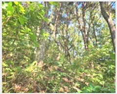  2024Ÿ561728 õ ȭ 絵 λ긮 43-1      (Ӿ)