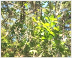  2024Ÿ561728 õ ȭ 絵 λ긮 43-1      (Ӿ)