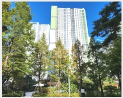  2024Ÿ563816 õ  帶ũ 19, 111 323203ȣ (۵,۵̺)    Ʈ