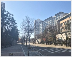  2024Ÿ��575345  ����Ʈ���