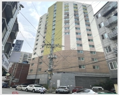  2024Ÿ��559664  ����Ʈ���