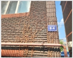  2024Ÿ560121 õ  Ź34 8-4, ̵ 4402ȣ     ټ,