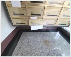  2024Ÿ534153 õ  839 34, 701 1104ȣ (絿,̾Ʈ)    Ʈ