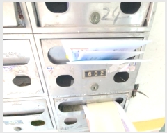  2024Ÿ��539813  ����Ʈ���